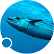 Clover Corp Ltd logo