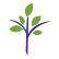 Commonwealth Global Fund logo