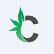 Cann American Corp. logo