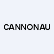 Cannonau Corp logo