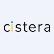 Cistera Networks Inc. logo