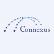 Connexus Corp. logo