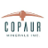 Copaure Minerals Inc. logo