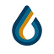 Constellation Oil Services Holding S.A. logo