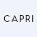 Capri Holdings Ltd. logo