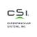 Cardiovascular Systems Inc logo