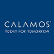 Calamos Timpani SMID Growth Fund Class I logo