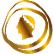 CZR Resources Ltd logo