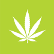 ECS Botanics Holdings Ltd. logo
