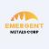 Emergent Metals Corp logo