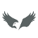 Eagle Pharmaceuticals, Inc. logo