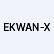 Ekwan-X Inc. logo