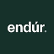 ENDURO logo