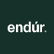 Endur ASA logo