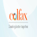 Enovis Corporation logo