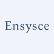 Leisure Acquisition Corp. logo