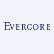 Evercore Equity Fund logo