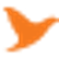 Forte Energy Limited logo