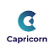 Capricorn Energy Ltd. logo
