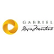 Gabriel Resources Ltd. logo