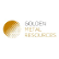 Guardian Metal Resources Plc logo