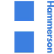 Hammerson plc logo