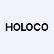 Holoco Inc. logo