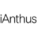Ianthus Capital Holdings Inc. logo