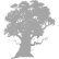 Independent Generations logo