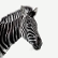 Inverite Insights Inc. logo