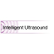 Intelligent Ultrasound Group plc logo