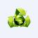 Green Street Capital Corp logo