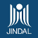 Jindal Worldwide Ltd. logo