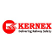 Kernex Microsystems (India) Ltd. logo