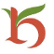 Kesar India Ltd. logo