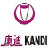 Kandi Technologies Group Inc. logo