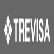 Trevisa Investimentos S.A. logo
