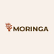 Moringa Acquisition Corp logo