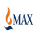 Max India Limited logo