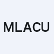 Mountain Lake Acquisition Corp. logo