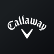 Topgolf Callaway Brands Corp. logo