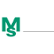MS Industrie AG logo