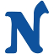 Nagreeeka Capital & Infrastructure Ltd. logo