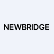 Newbridge Acquisition Ltd. Unit logo