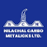 Nilachal Carbo Metalicks Ltd. logo