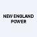 New England Power Co. 6% Perpetual Preferred Stock logo