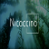 Nicoccino Holding AB logo