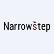 Narrowstep Inc. logo