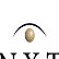 NXT Energy Solutions Inc. logo
