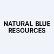 Natural Blue Resources Inc. logo